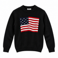 Polo USA Flag Siyah Triko Kazak